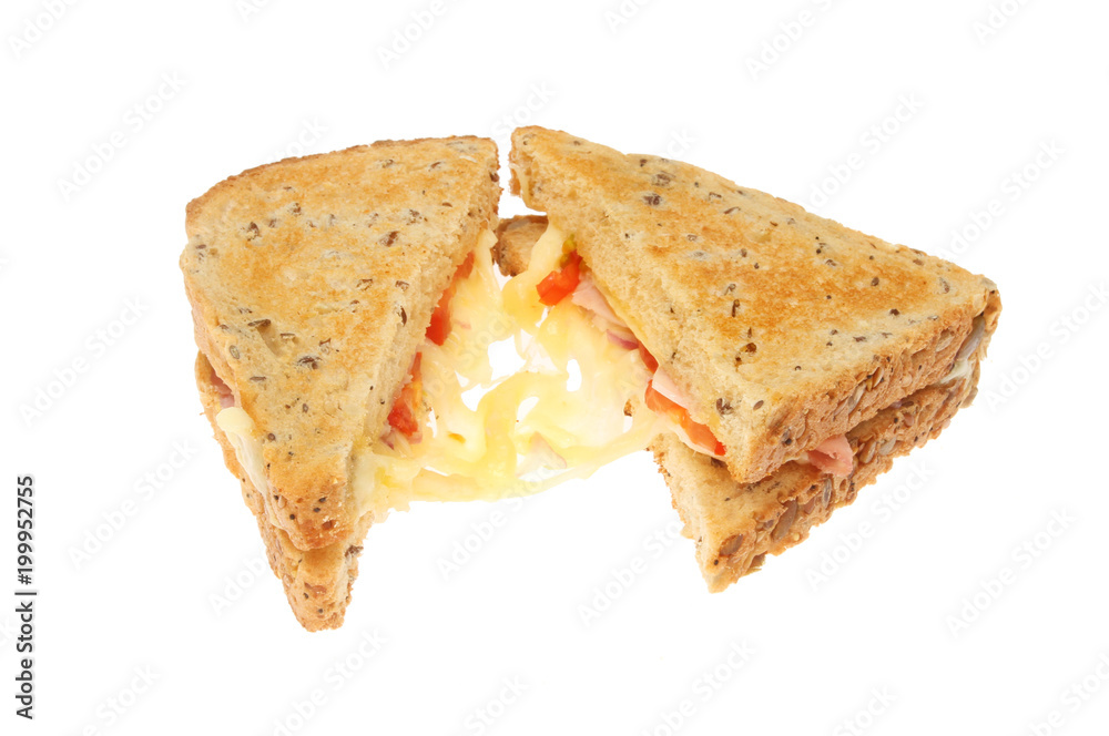 Toasted cheese sandwich Toasted cheese sandwich