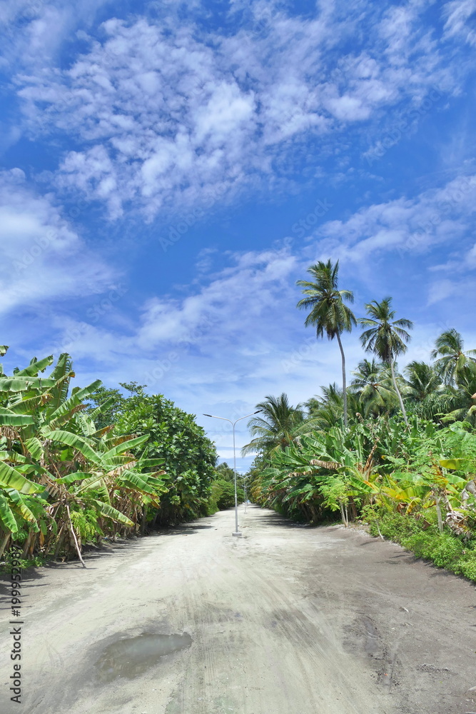 Sandy road on Maldive island