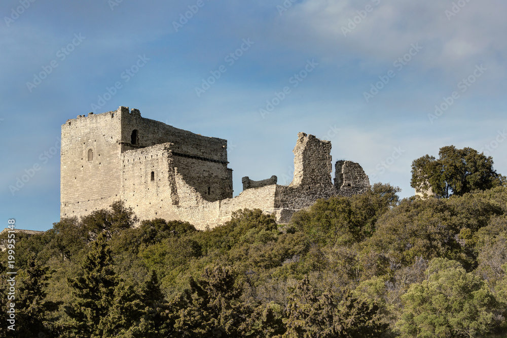 Le Chateau de Thouzon - Le Thor - Vaucluse