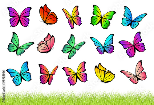 Watercolor flying butterflies isolated on transparent background with seamless grass border. Pretty vector butterfly set with spring palette for child. Decoration elements.