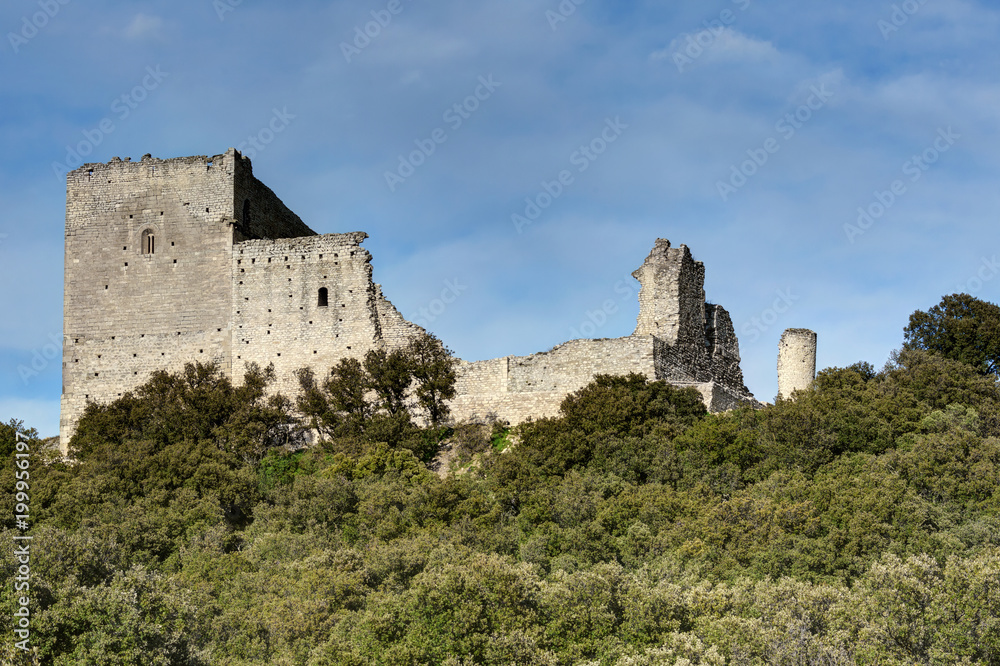 Le Chateau de Thouzon - Le Thor - Vaucluse