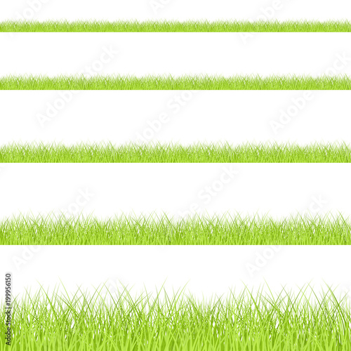 Grass border seamless pattern set, spring collection isolated on transparent background, vector illustration