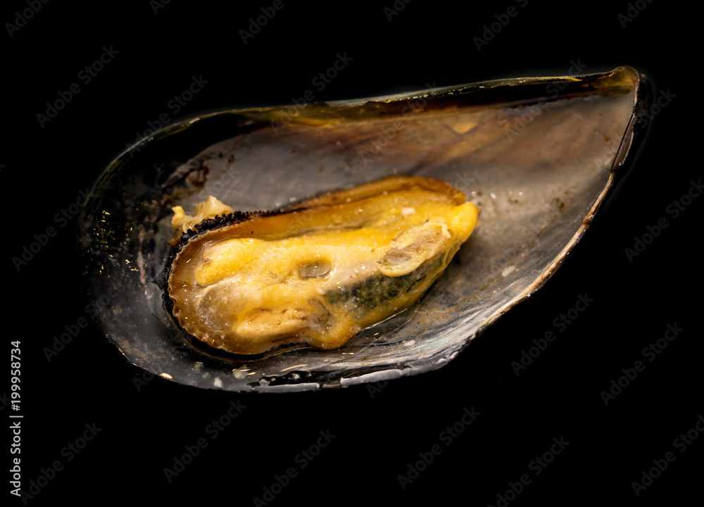 Mussels in the sink on a black background Mussels in the sink on a black background