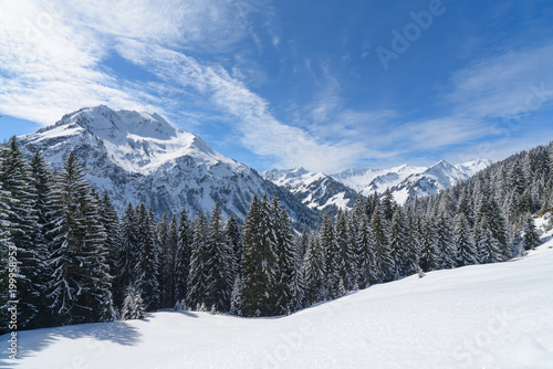 winter wonderland in Austria © artepicturas