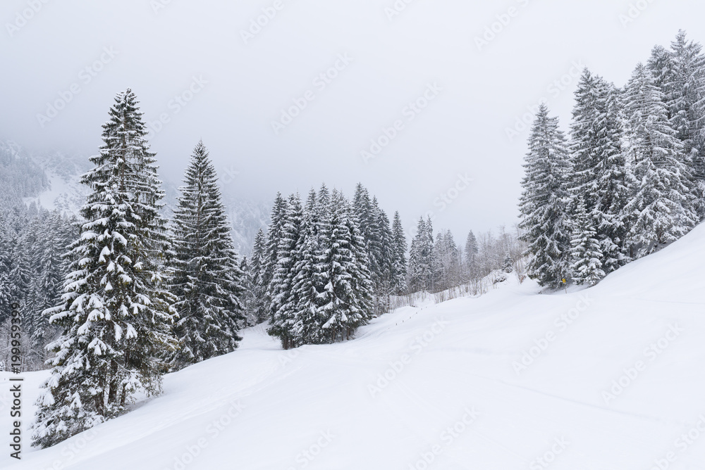 winter wonderland in Austria winter wonderland in Austria