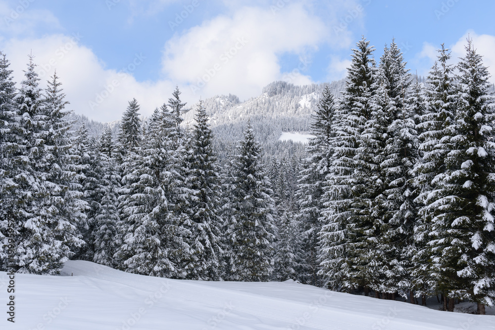 winter wonderland in Austria 