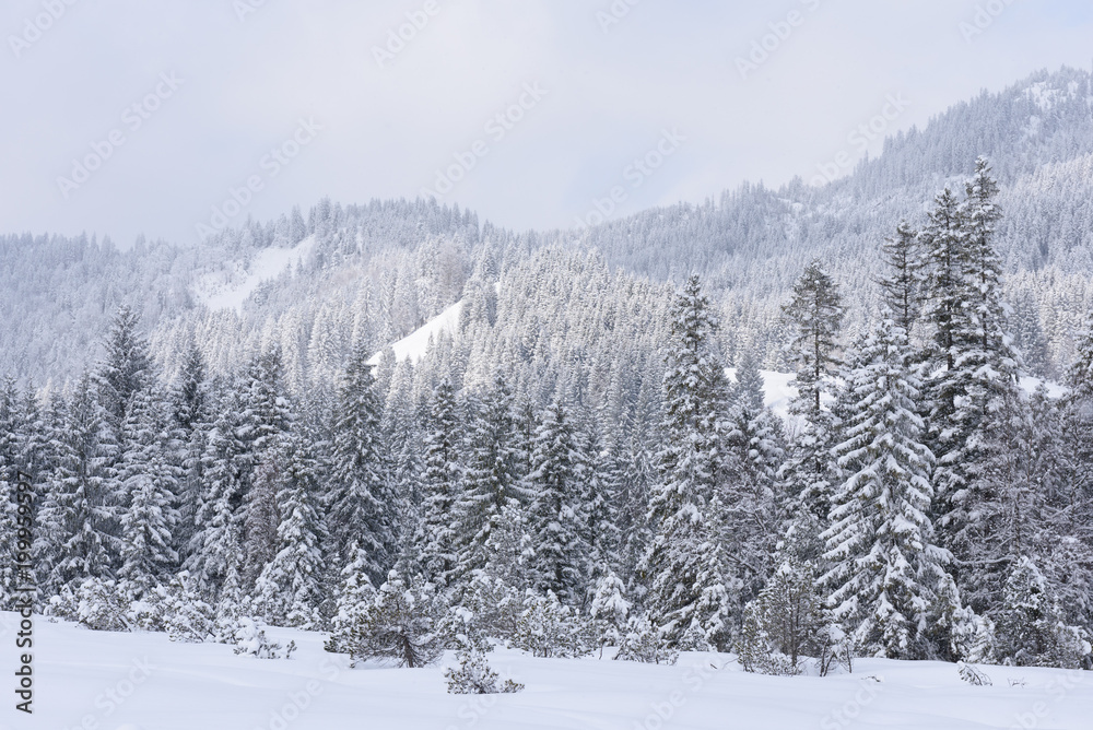 alps in winter with heavy snow 