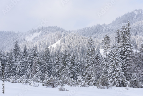 alps in winter with heavy snow  © artepicturas