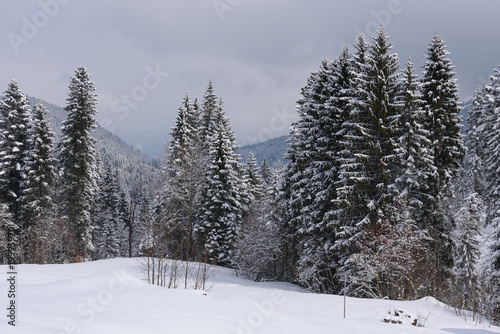 alps in winter with heavy snow  © artepicturas