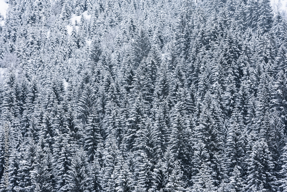 winter landscape snow winter landscape snow