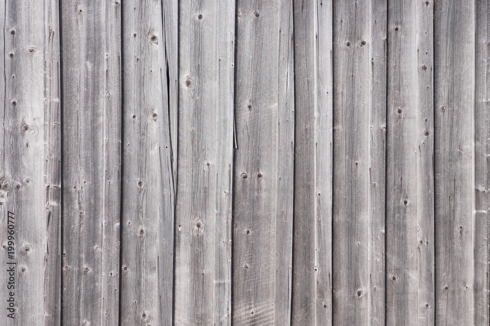 Wall of dry wooden boards in a natural environment. Wall of dry wooden boards in a natural environment.