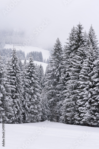 winter landscape snow  © artepicturas