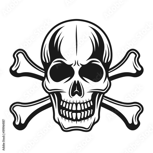 Skull with crossbones vector detailed illustration