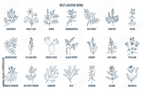 Best laxative herbs