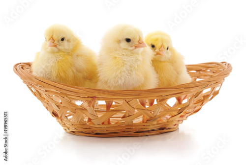 Chicken in a basket.