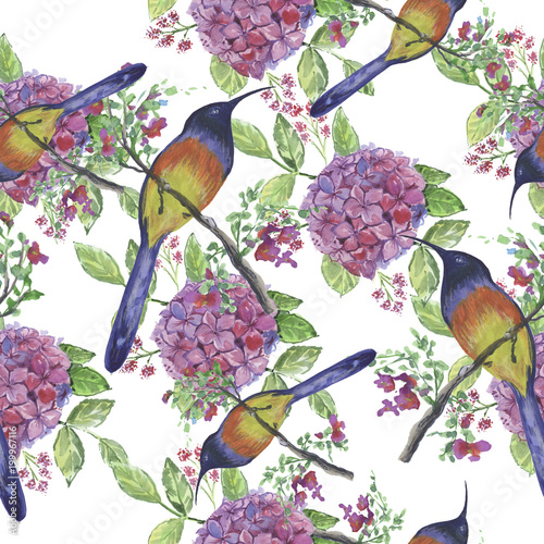 Backgroundless. Watercolor flowers, patterns, birds. Basis for design. Tropics, exotics photo