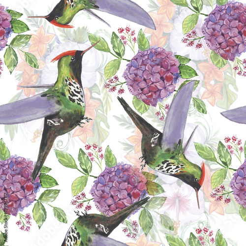 Backgroundless. Watercolor flowers, patterns, birds. Basis for design. Tropics, exotics photo