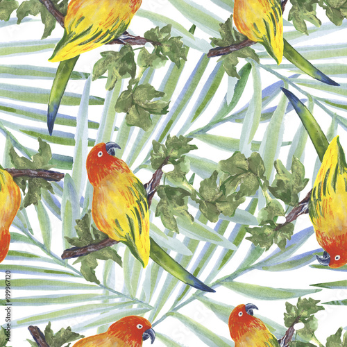 Backgroundless. Watercolor flowers, patterns, birds. Basis for design. Tropics, exotics photo