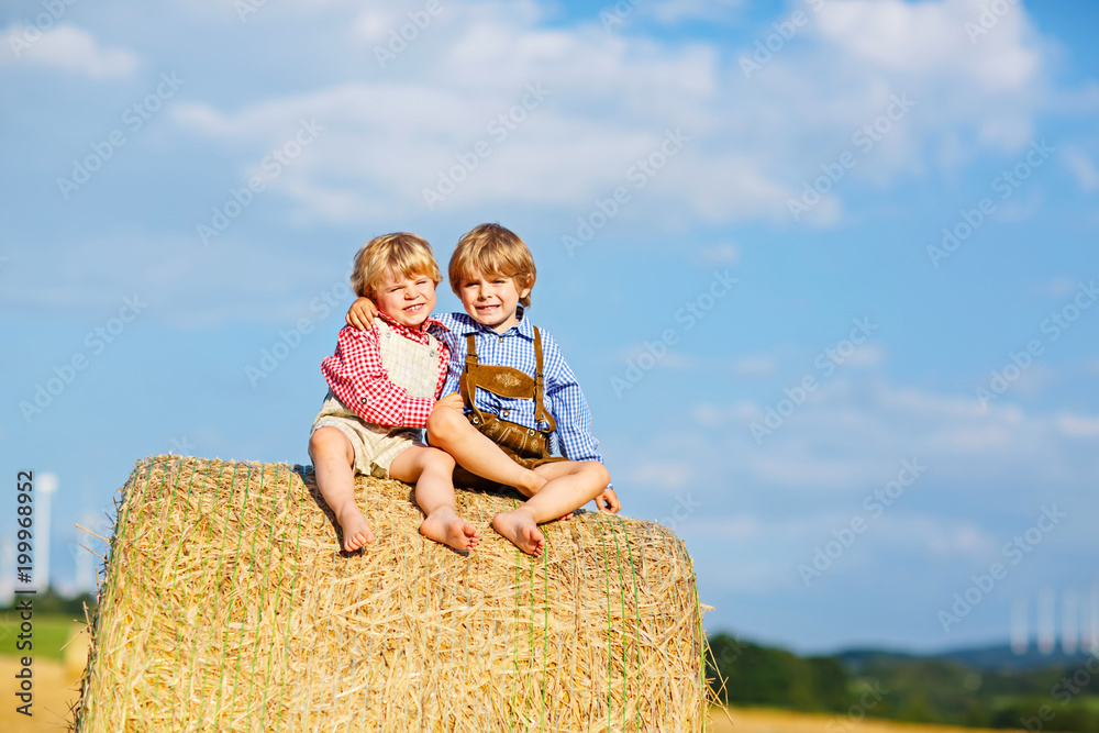 Two little kid boys, twins and siblings sitting on warm summer day on hay stack Two little kid boys, twins and siblings sitting on warm summer day on hay stack
