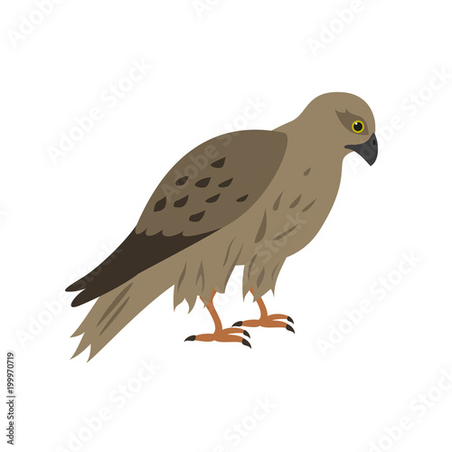 Cartoon falcon icon on white background.