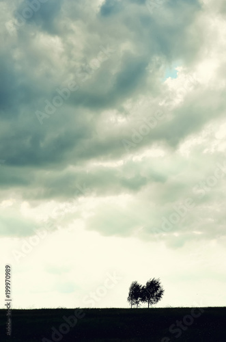 Minimalist single tree silhouette. Concept of loneliness  depression  escape  friendship  support  care  marriage. Nature background with copy space. Two trees alone against cloudy sky