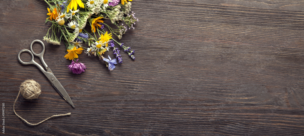 Wild flowers and scissors on old grunge wooden background (chamomile lupine dandelions thyme mint bells rape) Wild flowers and scissors on old grunge wooden background (chamomile lupine dandelions thyme mint bells rape)
