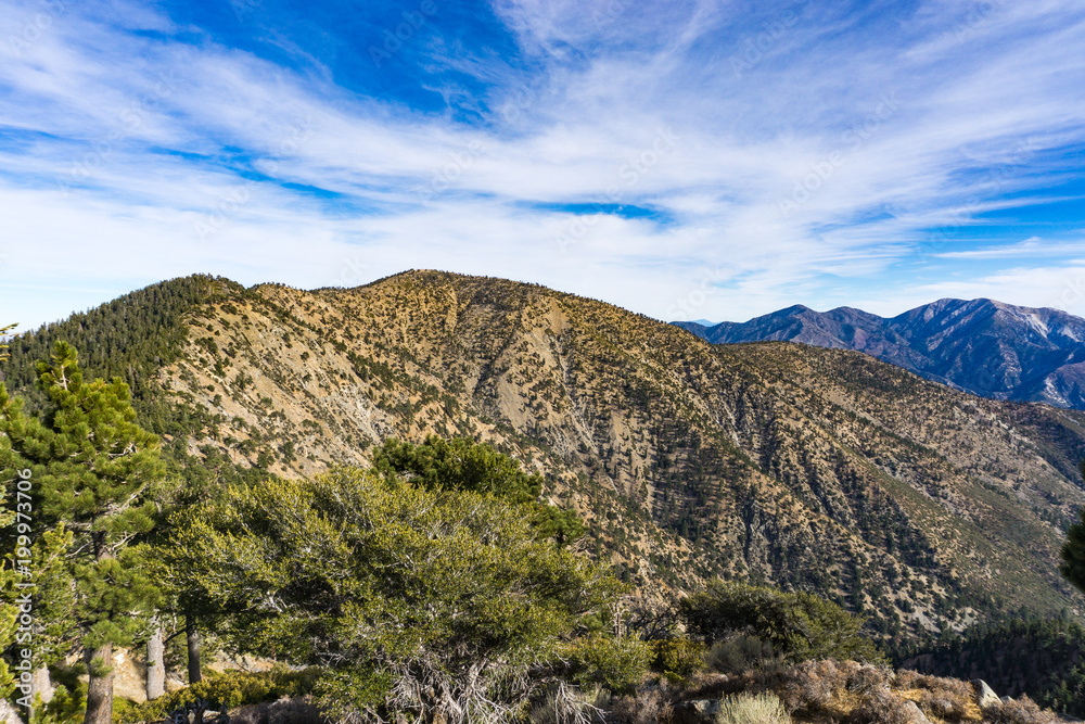 Ridge-line in Angeles Mountains