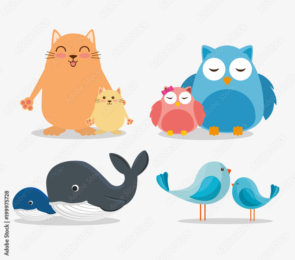 family animals group characters vector illustration design