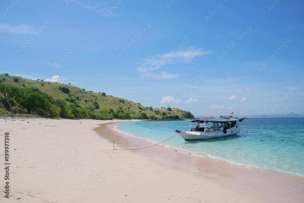 Tourist boat anchored on the pink beach