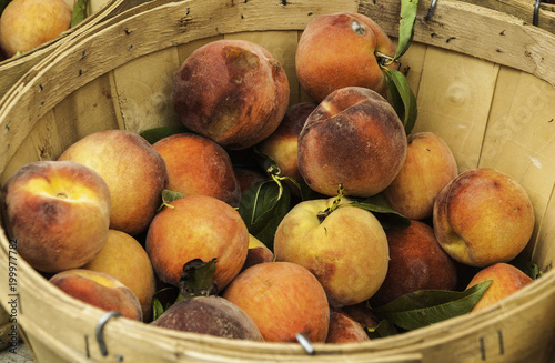 Puesto de frutas en Union Square