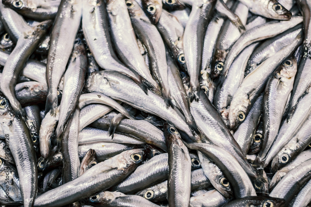 Fish Closeup Macro texture background Fish Closeup Macro texture background