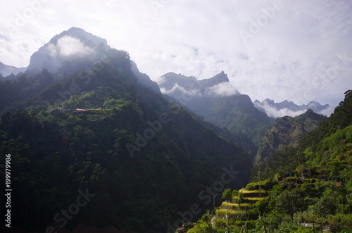 Foggy view in mountains, Madeira, Portugal