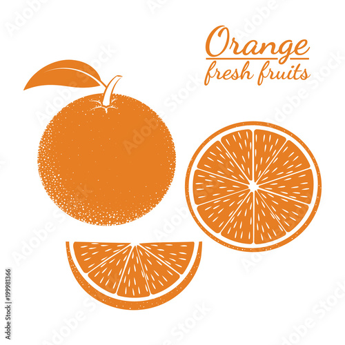 icon of oranges on white background