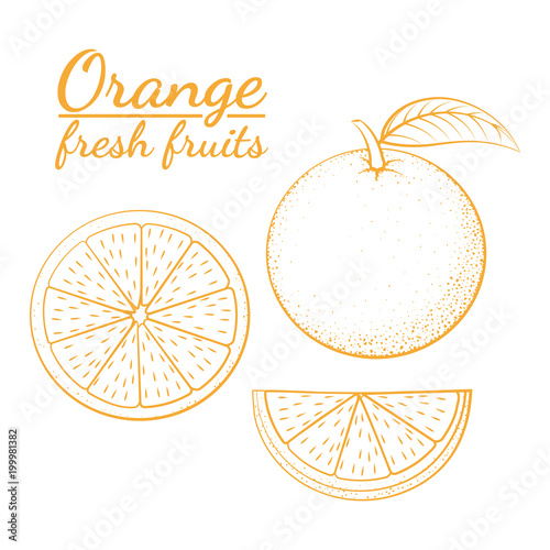 Outline icon of oranges on white background