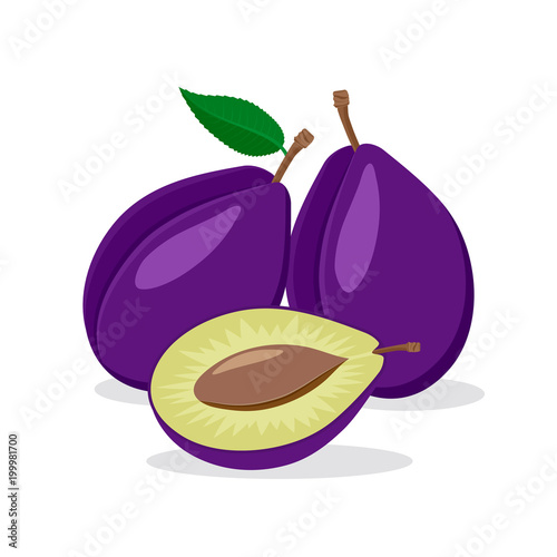 Colorful icon of a ripe plum