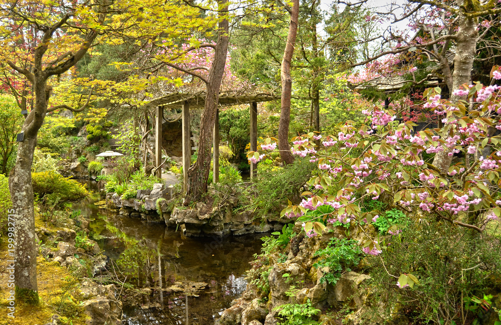 Japanese Gardens Japanese Gardens