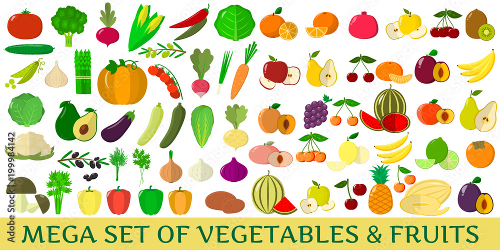 Obraz premium A set of fresh fruits illustrations on a white background.