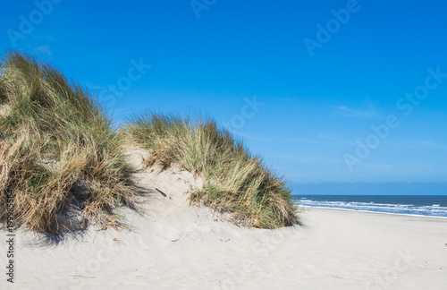 Fototapeta Naklejka Na Ścianę i Meble -  View on the dunes of Ameland, Holland