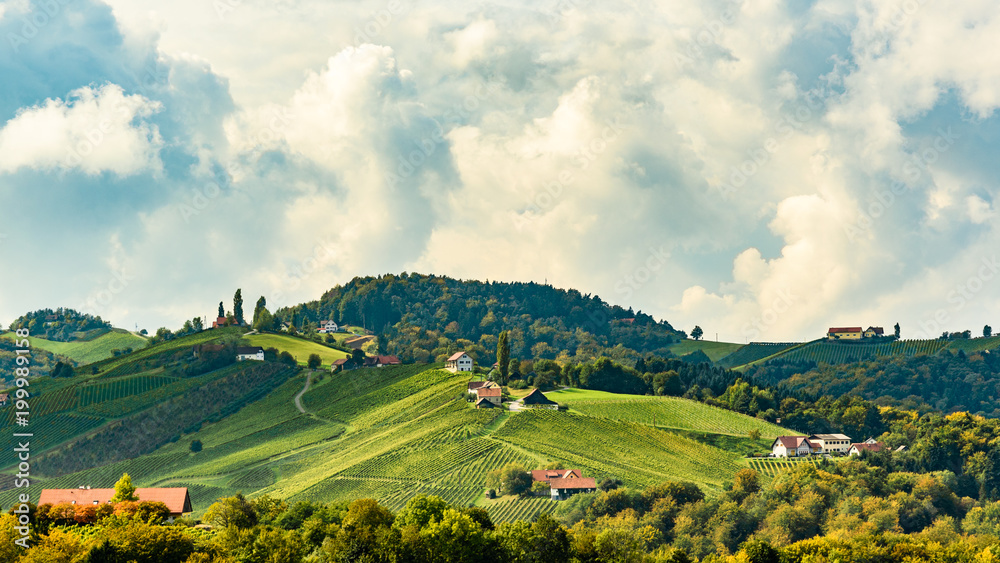 Obraz premium Austria Vineyards Leibnitz area south Styria travel spot