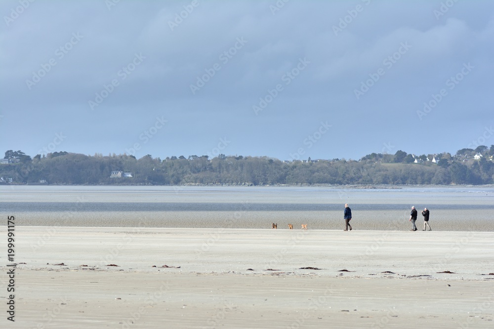 Des gens se promènent sur la plage avec leurs chiens en Bretagne