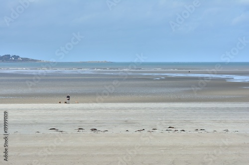 Des gens se promènent sur la plage avec leurs chiens en Bretagne