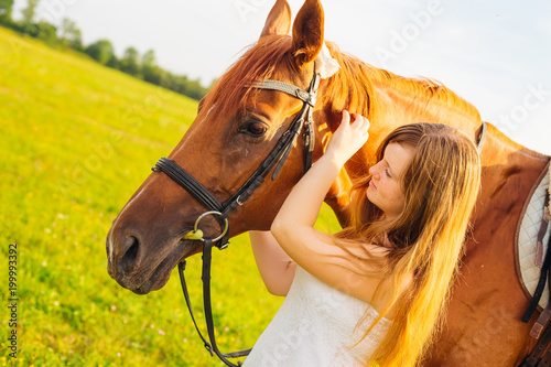 The girl looks at a beautiful horse and touches it