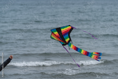 Cropped hand flying kite