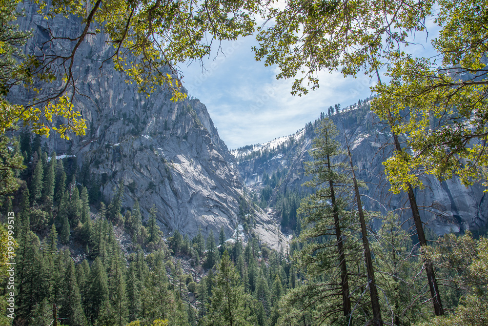 Landscape of Yosemite National Park 