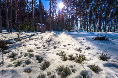 Falun - March 31, 2018: Forest lodges at Framby Udde near the town of Falun in Dalarna, Sweden photo