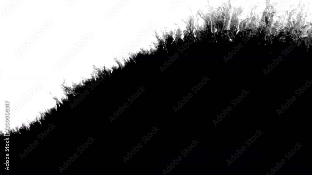Black ink spreading on white background with an amazingly detailed bleed effect. This footage can be used as a transition or reveal for your photo and video slideshows