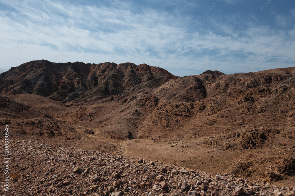 Way in the desert  in the Israil in sunny day with red mountains, green trees and blue sky