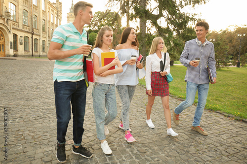 Group of young students wal...