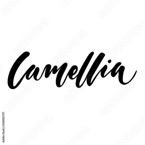 Floral vector calligraphic logo. Flower Camellia. Hand calligraphy with brush, lettering, modern design for decoration of flower shops, cosmetics, garden. For emblems, prints, label. Isolated Eps 10.