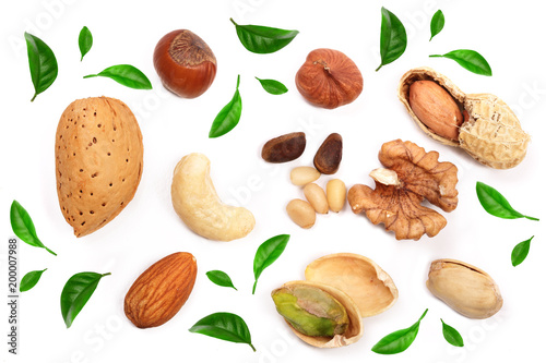 mixed of nuts decorated with leaves isolated on white background. Almond, cashew, peanut, hazelnut, pine nut, walnut